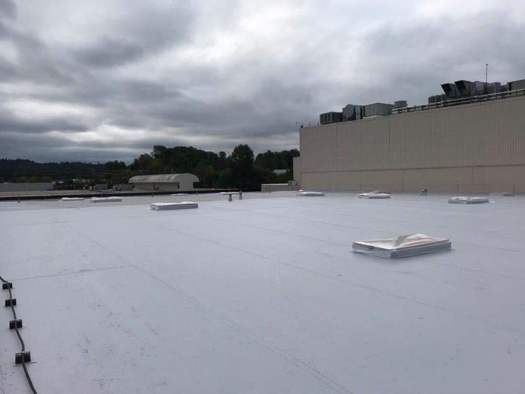 Waterproofed Roof